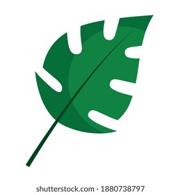 cleft leaf plant flat style icon vector illustration design