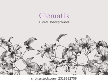 Clematis blooming branches, black outline flowers on the beige  background. Hand drawn elements, floral illustration for design greeting card, invitation, wedding