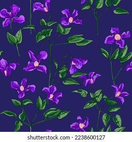 Clematis flower Fine drawing flowers line black on a violet background.