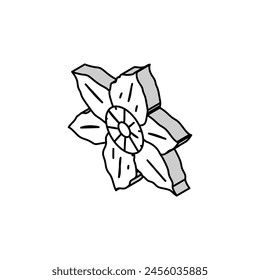 clematis flower spring isometric icon vector. clematis flower spring sign. isolated symbol illustration