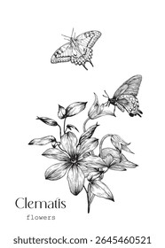 Clematis flowers bouquet and butterflies. Toile art Vector vintage template, black white. Hand drawn engraved elements. Elegante illustration for design greeting card, wedding decor, invitation, gift