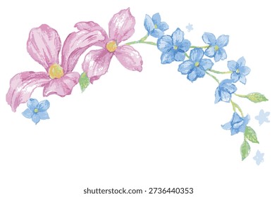 Clematis flowers Illustration. Vector illustration.