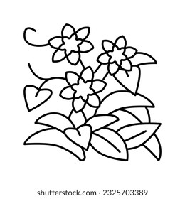 clematis growing line icon vector. clematis growing sign. isolated contour symbol black illustration