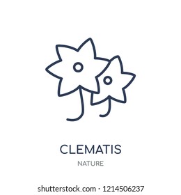 Clematis icon. Clematis linear symbol design from Nature collection. Simple outline element vector illustration on white background.