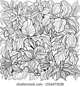 Clematis and Iris flowers. Coloring page for adult and older children