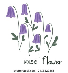 Ilustración del vector de flores Clematis scottii