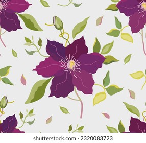 Clematis vector seamless pattern. Clematis garden flower. Climbing plant, purple petals, flexible stems. Design for printing on fabric, paper, wallpaper, packaging.
