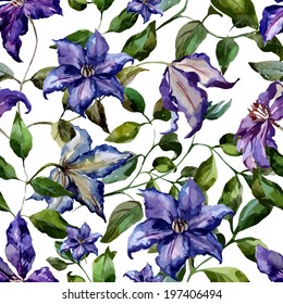 clematis, watercolor, pattern