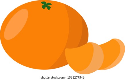 Clementine, illustration, vector on white background.