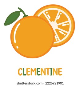 Clementine, tangor, mandarin orange,  sweet orange, tangerine. Hand drawn flat glossy fruits cartoon vector illustration with cute glossy letters isolated on white background.
