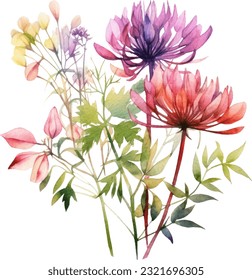 Cleome Watercolor illustration. Hand drawn underwater element design. Artistic vector marine design element. Illustration for greeting cards, printing and other design projects.