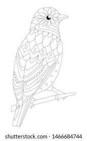 clever bird sitting on bough for your coloring page