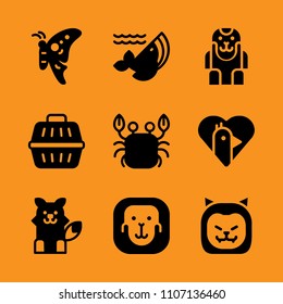 clever, hot, air and natural icon set. Vector illustration for web and design.