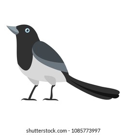 Clever magpie icon. Flat illustration of clever magpie vector icon for web