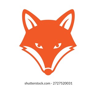 Uma cabeça de raposa laranja inteligente olha para frente.