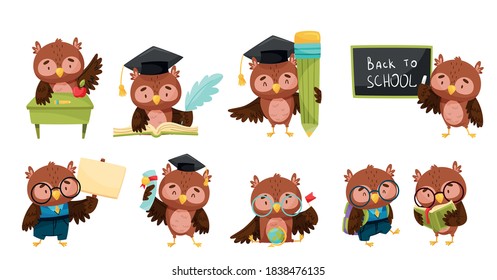 Clever Owl In Glasses Reading Book And Learning Geography Vector Set