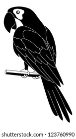 Clever speaking parrot sits on a wooden pole, black silhouette on white background. Vector