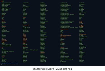 CLI interface of Unix System. CMD Command Line Terminal. Example of Linux ls Command Showing Bin Directory. Vector Illustration. Computer Prompt for Power Users. List of Files on Example FTP Server.