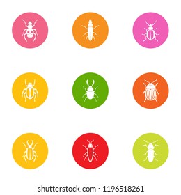 Click beetle icons set. Flat set of 9 click beetle vector icons for web isolated on white background