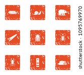 Click beetle icons set. Grunge set of 9 click beetle vector icons for web isolated on white background