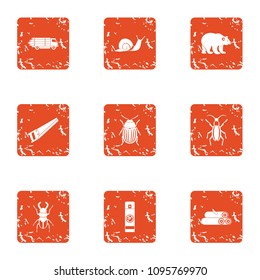 Click beetle icons set. Grunge set of 9 click beetle vector icons for web isolated on white background