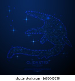 Clidastes composed of polygon. Low poly vector Abstract image of the Clidastes at a starry sky or space, consisting of points, lines, and shapes in the form of planets, stars and the universe.