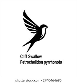 Cliff Swallow Bird Silhouette Vector Illustration Isolated on White Background (Petrochelidon pyrrhonota)