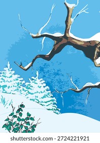 Cambio climático nevadas Aumento del nivel de nieve nevadas tanja nevadas Nevadas en Europa, árboles y abetos cubiertos de nieve, Glades cubiertos de nieve Paisaje de invierno
