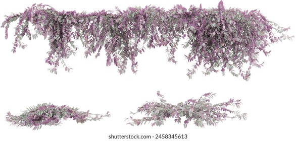 climber plants, creeper plants, 3D rendering with transparent background, for illustration, digital composition, architecture visualization