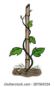 Featured image of post Cartoon Climber Plant Drawing Help the little blue cube reach the end of the level without falling or getting pierced by spikes