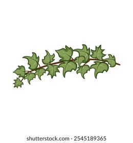 climbing green ivy cartoon. vine leaves, growth lush, wall garden climbing green ivy sign. isolated symbol vector illustration