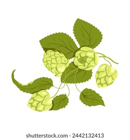 Climbing hop plant. Growing botanical hops, beer production plants cartoon vector illustration