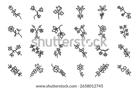 Climbing Hydrangea Icon Silhouettes – 20 Unique Stick Figure and Creeper Vines Vector Illustrations in Black on White – Perfect for Garden Climbing Scenes, Floral Infographics, Outdoor Activity Icons,