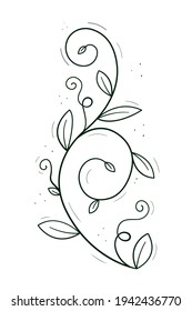 A climbing plant like a pea or creeper with tendrils and leaves. Doodle sketch outline black and white. Isolated vector drawing on a white.