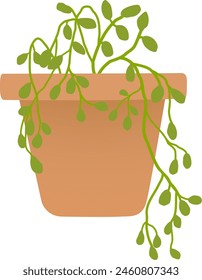 Climbing plant in pot, flat vector drawing