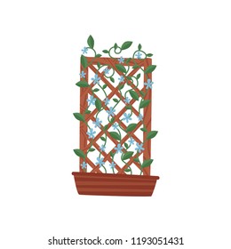 Climbing plant with small blue flowers in brown pot with wooden trellis. Gardening theme. Flat vector icon