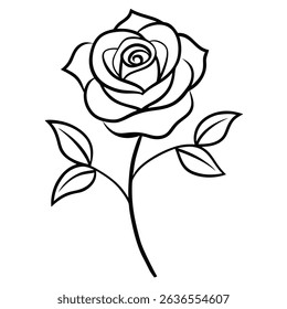 Climbing rose line art on white background