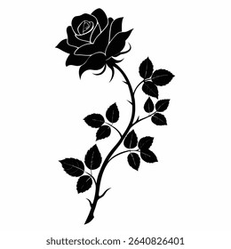 climbing rose silhouette on white background