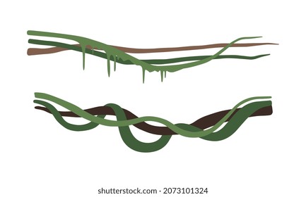 Climbing and Tangled Liana Long-stemmed Woody Vine Vector Set