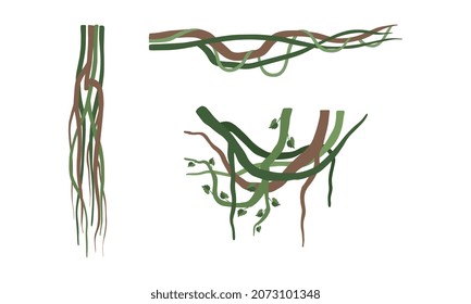 Climbing and Tangled Liana Long-stemmed Woody Vine Vector Set