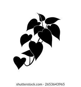 Uma trepadeira com folhas em forma de coração, mostrada como uma silhueta preta sólida. Um ícone que representa amor, natureza, romance ou jardinagem.