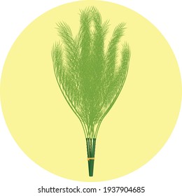 Climbing wattle vector illustrator isolated on circle background in vegetable concept.