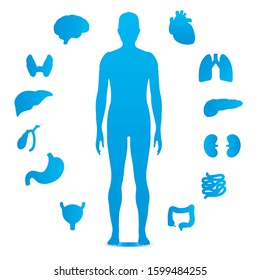 Clinical Simple Icon Silhouettes Of Human Organs And The Unisex Human Figure, Lungs, Heart, Liver, Brain, Pancreas, Thyroid, Kidney, Gallbladder, Intestines