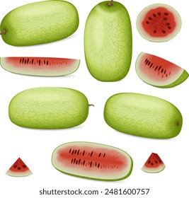 Clip art. Ali Baba Watermelon. Citrullus lanatus. Fruits and vegetables. Isolated vector illustration.