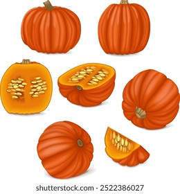 Big Max Pumpkin. Abóbora-menina. Cucurbita maxima Frutas e legumes. Ilustração isolada de vetor.