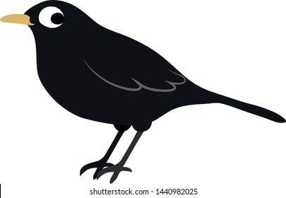 42,427 Blackbirds Images, Stock Photos & Vectors | Shutterstock