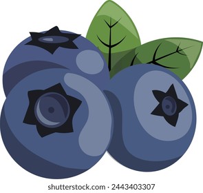 Clip art of blueberry gathering