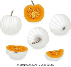 Clip art. Casper pumpkin or Lumina Pumpkin. Winter squash. Cucurbita maxima. Fruits and vegetables. Isolated vector illustration.