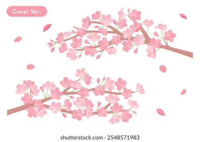 clip art of cherry blossom background in spring.
In this cute illustration, flowers are in full bloom and petals are falling. This clip art fits for scenes of new life and celebration.　