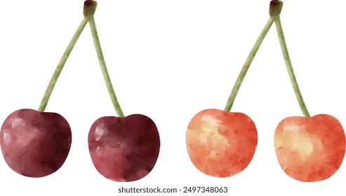 Clip art of cherry in watercolor style